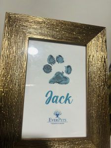 EverPets Crematorio de Mascotas huella
