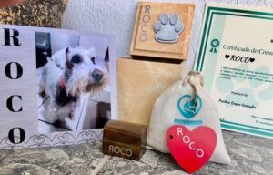 Huellas en Querétaro recuerdos de mascotas