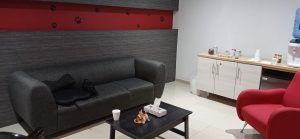 Pet Funeral Home Toluca sala